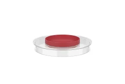 Mepal Spritzdeckel Rührschüssel Chef It 3000 ml - Coral Sale